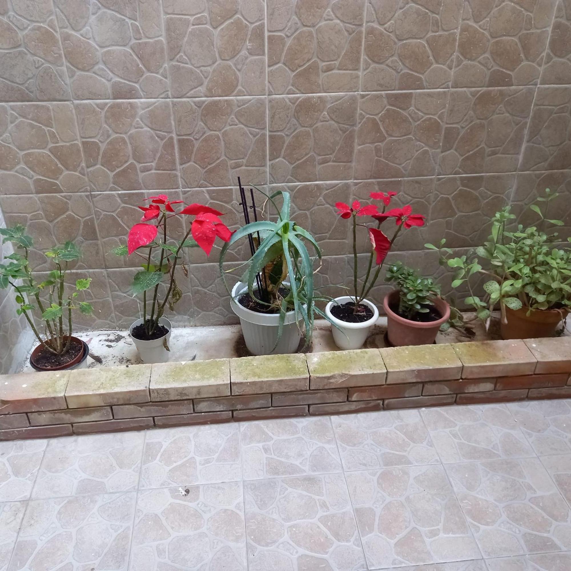 A Casa Di Lori Apartman Palermo Kültér fotó